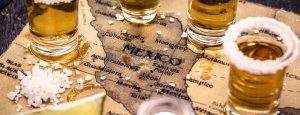 Botellas de tequila premium con fondo de agave