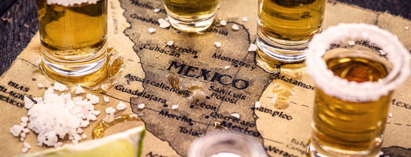 Botellas de tequila premium con fondo de agave